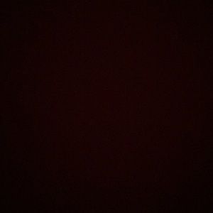 Meet your Posher, Wilson